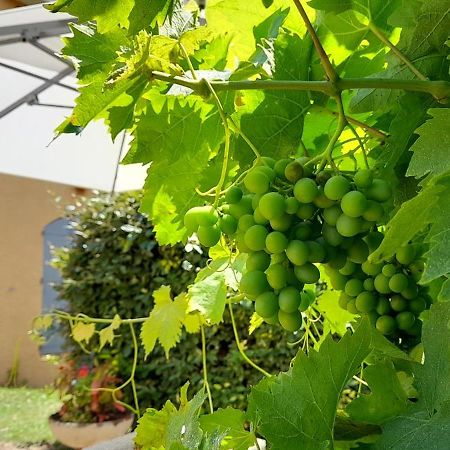 Hotel Des Vignes 줄리에나 외부 사진