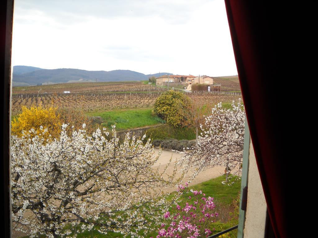 Hotel Des Vignes 줄리에나 외부 사진